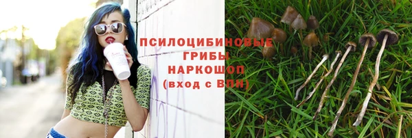 гидра Алексеевка