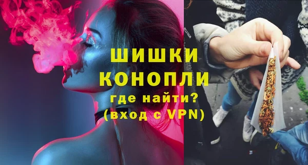метадон Елизово