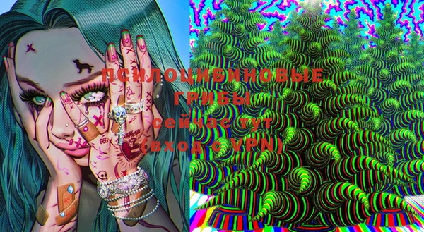 бошки Алзамай