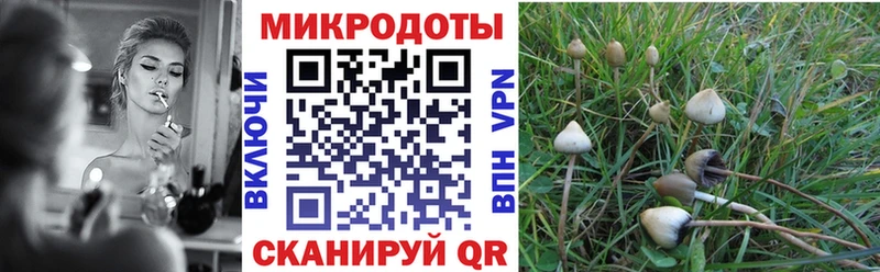 Галлюциногенные грибы Cubensis  Серов 