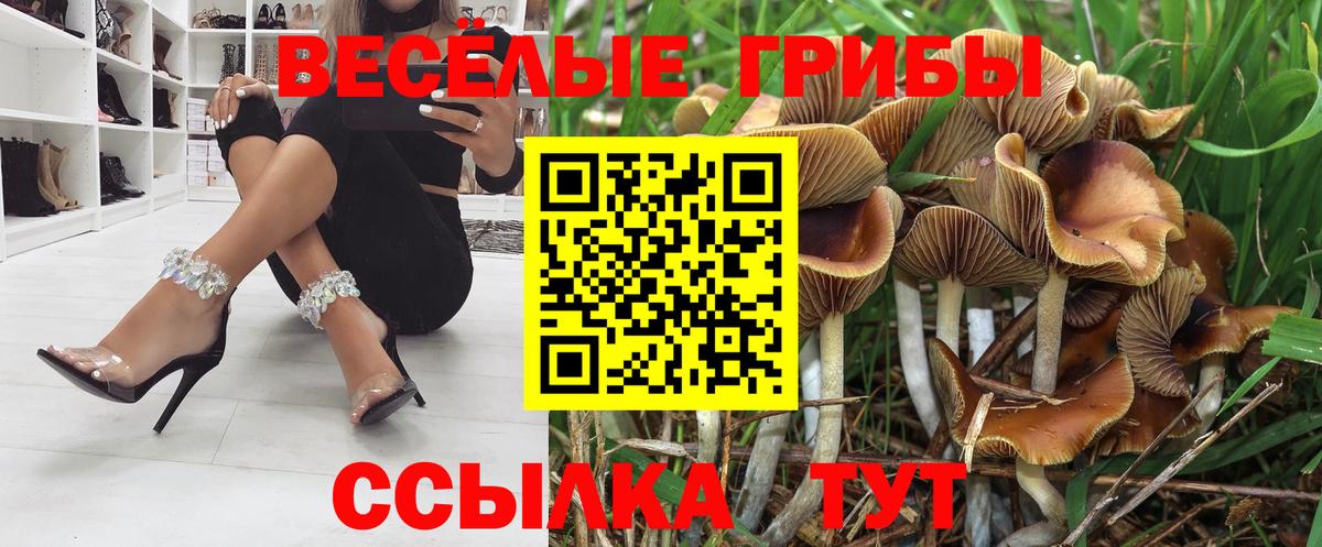 Серов  Галлюциногенные грибы Psilocybe  Вход с VPN  Галлюциногенные грибы MAGIC MUSHROOMS 
